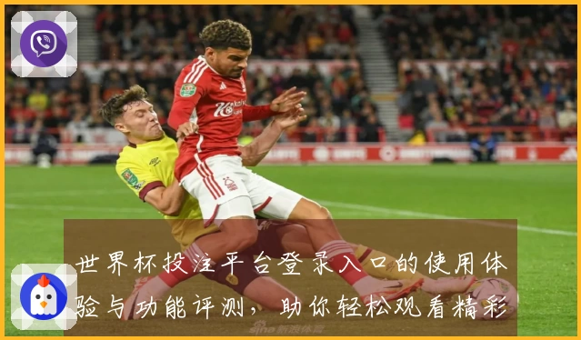世界杯投注平台登录入口的使用体验与功能评测，助你轻松观看精彩赛事